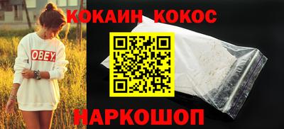 стаф Можга