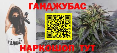 стаф Можга