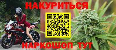 стаф Можга