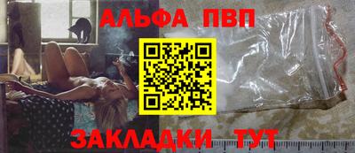 стаф Можга